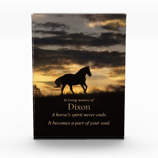 Memorial für Pferdegeist Fotoblock (Vorderseite)