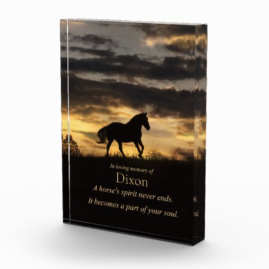 Memorial für Pferdegeist Fotoblock (Rechts)