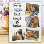 Memorial für Pferdepfällchen FotoCollage Fotoplatte