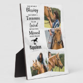 Memorial für Pferdepfällchen FotoCollage Fotoplatte (Seite)