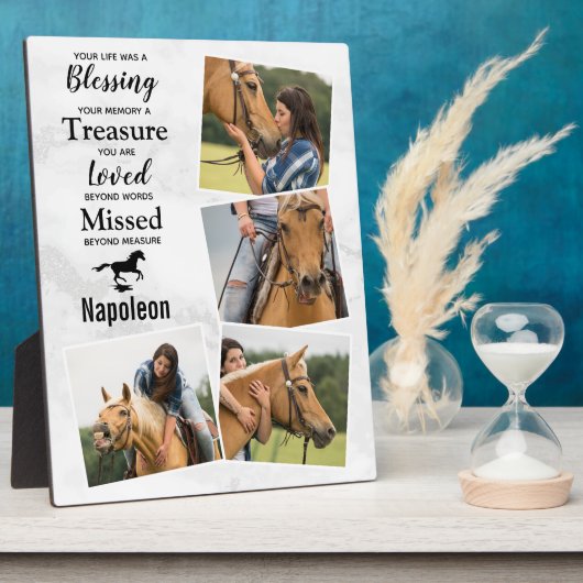 Memorial für Pferdepfällchen FotoCollage Fotoplatte (Seite)