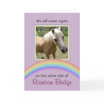 Memorial für Rainbow Bridge