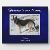 Memorial für Royal Blue Silver Pet Fotoplatte (Vorderseite)