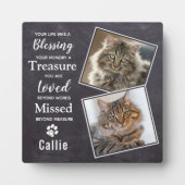 Memorial für Tierkatzenkatalog Fotoplatte (Vorderseite)