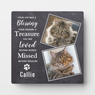 Memorial für Tierkatzenkatalog Fotoplatte