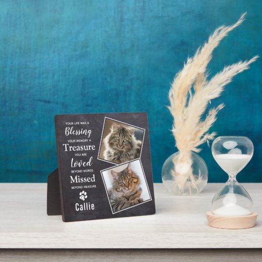 Memorial für Tierkatzenkatalog Fotoplatte (InSitu)