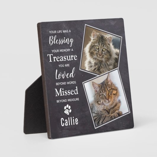 Memorial für Tierkatzenkatalog Fotoplatte (Vorderseite)