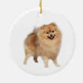 Memorial Keepake Hund Tier Keramik Ornament (Hinten)