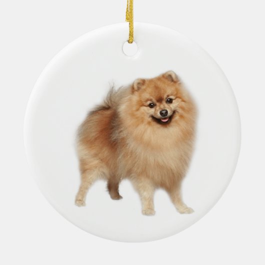 Memorial Keepake Hund Tier Keramik Ornament (Hinten)