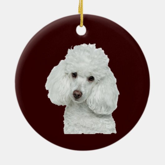 Memorial Keepake Hund Tier Tier Keramik Ornament (Hinten)