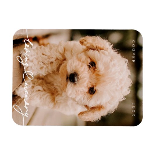 Memorial Love Memory Einfaches modernes Foto Magnet (Horizontal)