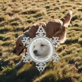 Memorial mit weich weißem Foto Vignette Schneeflocken Zinn-Ornament