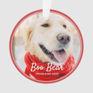 Memorial Moderne Frames Einfaches Foto Ornament