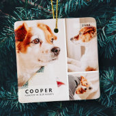 Memorial Modernes, einfaches geometrisches FotoCol Keramikornament