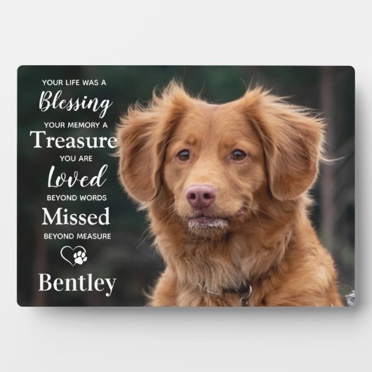 Memorial Modernes Personalisiertes Dog-Foto Fotoplatte (Vorderseite)