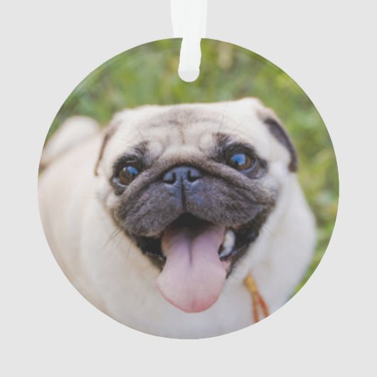 Memorial | Nicht mehr an meiner Seite, sondern nur Ornament (Rückseite)