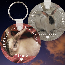 Memorial Pet Bunny Rabbit Zwei Foto | Name | Daten Schlüsselanhänger