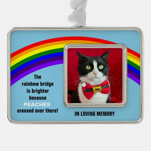 Memorial Pet Cat Christmas Rainbow Bridge Ornament Rahmen-Ornament Silber (Vorderseite)