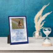 Memorial Pet Hund spirituelle benutzerdefinierte F Fotoplatte (Seite)