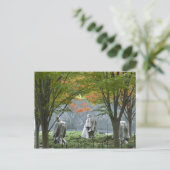 Memorial Postcard für Kriegsveteranen Postkarte (Stehend Vorderseite)