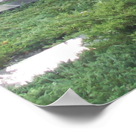 Memorial Series Two Poster (Ecke)