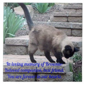 Memorial Tile, Siegel Point Cat Fliese (Vorderseite)