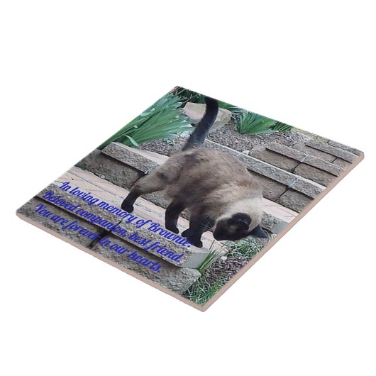 Memorial Tile, Siegel Point Cat Fliese (Seite)