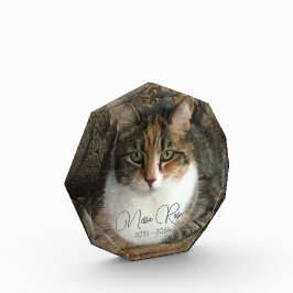 Memorial zum Cat-Foto Fotoblock