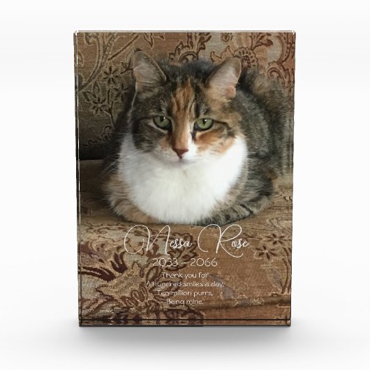 Memorial zum Cat-Foto Fotoblock (Vorderseite)