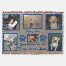 Memorial zum Foto von Haustieren "Ihre Bilder"