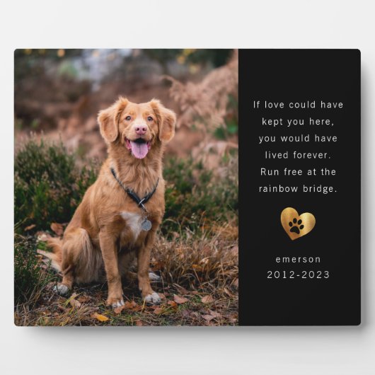 Memorial zum Schwarzen Foto Fotoplatte (Vorderseite)