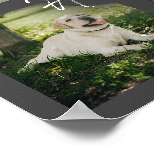 Memorial zum Thema "Benutzerdefiniertes Foto Colla Poster (Ecke)