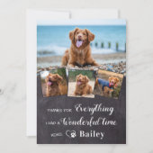 Memorial zum Thema Heimtiere aus der benutzerdefin Dankeskarte (Vorderseite)