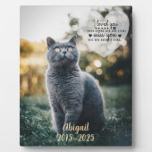 Memorial zum Verlust von Haustieren Fotoplatte (Vorderseite)