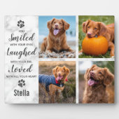 Memorial zur Erinnerung an die Lieblingsaufnahme d Fotoplatte (Vorderseite)