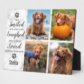 Memorial zur Erinnerung an die Lieblingsaufnahme d Fotoplatte (Seite)