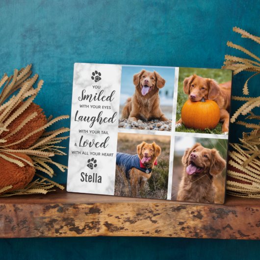 Memorial zur Erinnerung an die Lieblingsaufnahme d Fotoplatte (Seite)