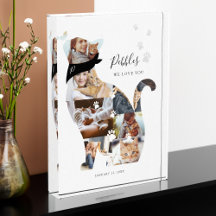 Memorial zur Erinnerung an die Lieblingskatze