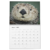 Memories of Mr.Enchilada Calendar Kalender (Mär 2027)