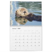 Memories of Mr.Enchilada Calendar Kalender (Jan 2027)