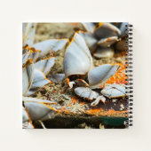 Memories of the shores of Thailand Notizblock (Rückseite)