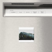 Memphis Belle, Nase Art Magnet (In Situ (Geschirrspüler))