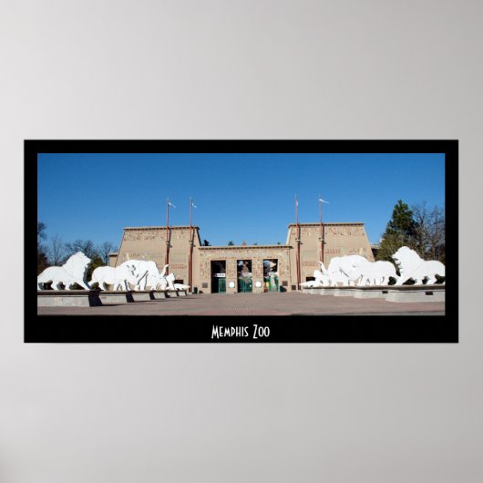 Memphis Zoo Poster (Vorne)