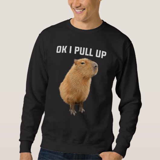 Men Women Kids Ok I Pull Up Funny Capybara costume Sweatshirt (Vorderseite)