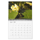 Menagerie Kalender (Mär 2027)