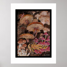 Menagerie of Mushrooms Poster