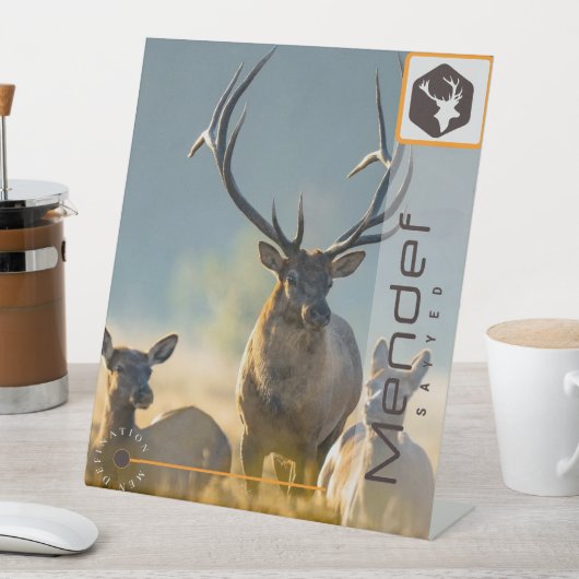 MENDEF SOCKELSCHILD (In Situ)