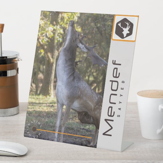 MENDEF SOCKELSCHILD (In Situ)