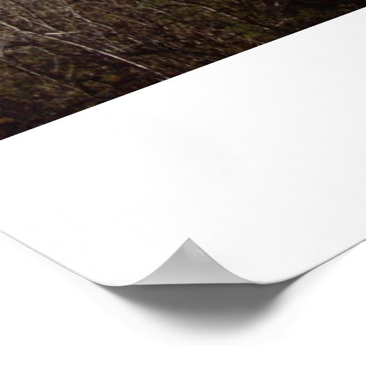 Mendenhall Glacier, Alaska Poster (Ecke)