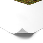 Mendenhall Glacier Poster (Ecke)